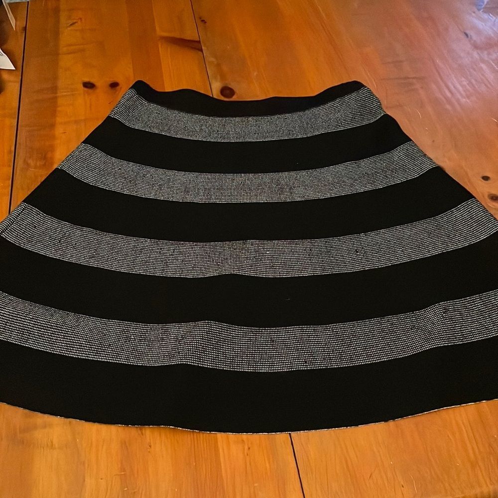Spense skirt size Large